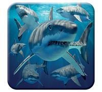 3D LiveLife Cork Coaster - Great White Sharks from Deluxebase. Lenticular Animal Drink Coasters. Funny Gifts for Women and Men. Cute Novelty Kitchen Gift Ideas and Decorative Home Accessories
