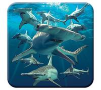 3D LiveLife Cork Coaster - Hammerhead Sharks from Deluxebase. Lenticular 3D Cork Ocean Coaster. Non-slip drinks mat with original artwork licensed from renowned artist, David Penfound