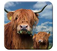 3D LiveLife Cork Coaster - Highland Cattle from Deluxebase. Lenticular 3D Cow Drink & Mug Coasters. Fun Animal Gifts for Women and Men. Novelty Kitchen and Decorative Home Accessories.