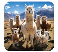 3D LiveLife Cork Coaster - Llamarama from Deluxebase. Lenticular Wild Animal Drink Coasters. Funny Gifts for Women and Men. Cute Novelty Kitchen Gift Ideas and Decorative Home Accessories