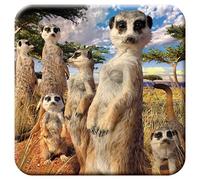 3D LiveLife Cork Coaster - Meerkat Gaze from Deluxebase. Lenticular Safari Animal Drink Coasters. Funny Gifts for Women and Men. Cute Novelty Kitchen Gift Ideas and Decorative Home Accessories