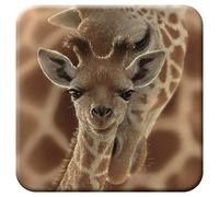 3D LiveLife Cork Coaster - Newborn from Deluxebase. Lenticular Giraffe Drink Coasters. Funny Gifts for Women and Men. Cute Novelty Kitchen Gift Ideas and Decorative Home Accessories