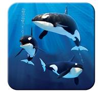 3D LiveLife Cork Coaster - Orcas from Deluxebase. Lenticular 3D Orca Drink & Mug Coasters. Fun Animal Gifts for Women and Men. Novelty Kitchen and Decorative Home Accessories.