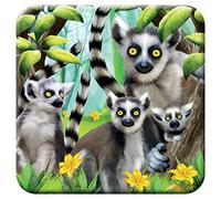 3D LiveLife Cork Coaster - Ring-Tailed Lemurs from Deluxebase. Lenticular Animal Drink Coasters. Funny Gifts for Women and Men. Cute Novelty Kitchen Gift Ideas and Decorative Home Accessories