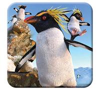 3D LiveLife Cork Coaster - Rockhoppers from Deluxebase. Lenticular 3D Penguin Drink & Mug Coasters. Fun Animal Gifts for Women and Men. Novelty Kitchen and Decorative Home Accessories.