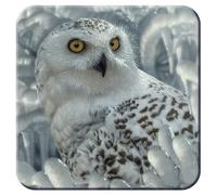 3D LiveLife Cork Coaster - Snowy Owl Sanctuary from Deluxebase. Lenticular Bird Drink Coasters. Funny Gifts for Women and Men. Cute Novelty Kitchen Gift Ideas and Decorative Home Accessories