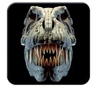 3D LiveLife Cork Coaster - T-Rex Skull from Deluxebase. Lenticular 3D Dinosaur Drink & Mug Coasters. Fun Dinosaur Gifts for Women and Men. Novelty Kitchen and Decorative Home Accessories.