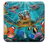 3D LiveLife Cork Coaster - Tiny Bubbles from Deluxebase. Lenticular Sea Turtle Drink Coasters. Funny Gifts for Women and Men. Cute Novelty Kitchen Gift Ideas and Decorative Home Accessories