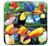 3D LiveLife Cork Coaster - Toucan Paradise from Deluxebase. Lenticular Bird Drink Coasters. Funny Gifts for Women and Men. Cute Novelty Kitchen Gift Ideas and Decorative Home Accessories