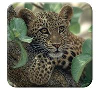 3D LiveLife Cork Coaster - Tree Hugger from Deluxebase. Lenticular 3D Cork Leopard Cub Coaster. Non-slip drinks mat with original artwork licensed from renowned artist, Collin Bogle