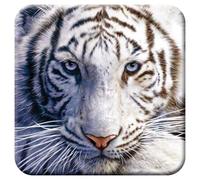 3D LiveLife Cork Coaster - White Tiger Repose from Deluxebase. Lenticular 3D Tiger Drink & Mug Coasters. Fun Animal Gifts for Women and Men. Novelty Kitchen and Decorative Home Accessories.