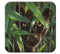 3D LiveLife Cork Coaster - Wild Eyes from Deluxebase. Lenticular 3D Panther Drink & Mug Coasters. Fun Animal Gifts for Women and Men. Novelty Kitchen and Decorative Home Accessories.