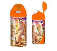 3D LiveLife Drinking Bottle - Cool Meerkats from Deluxebase. 3D Lenticular 600ml BPA Free Reusable Orange Water Bottle with Straw & Flip Top Lid. Leak Proof Animal Drinks Bottles with Meerkat Design.