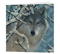 3D LiveLife Greeting Card - Broken Silence from Deluxebase. Blank Card with Lenticular 3D Wolf Image and Envelope. Unique Notecard for All Occasions and Premium Stationery Sets.