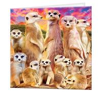 3D LiveLife Greeting Card - Cool Meerkats from Deluxebase. Blank Card with Lenticular 3D Meerkat Image and Envelope. Unique Notecard for All Occasions and Premium Stationery Sets.