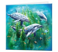 3D LiveLife Greeting Card - Dolphin Kelp Bed from Deluxebase. Blank Card with Lenticular 3D Image and Envelope. Unique Notecard for All Occasions and Premium Stationery Sets.