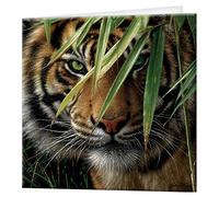 3D LiveLife Greeting Card - Emerald Forest from Deluxebase. Blank Card with Lenticular 3D Tiger Image and Envelope. Unique Notecard for All Occasions and Premium Stationery Sets.