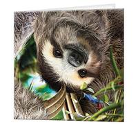 3D LiveLife Greeting Card - Hangin' Around from Deluxebase. Blank Card with Lenticular 3D Sloth Image and Envelope. Unique Notecard for All Occasions and Premium Stationery Sets.