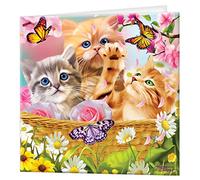 3D LiveLife Greeting Card - Kitten Fun Time from Deluxebase. Blank Card with Lenticular 3D Kitten Image and Envelope. Unique Notecard for All Occasions and Premium Stationery Sets.