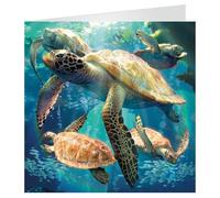 3D LiveLife Greeting Card - Sea Turtle Swim from Deluxebase. Blank Card with Lenticular 3D Sea Turtle Image and Envelope. Unique Notecard for All Occasions and Premium Stationery Sets.