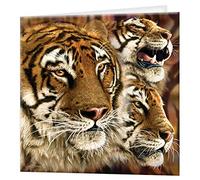 3D LiveLife Greeting Card - Tiger Stripes from Deluxebase. Blank Card with Lenticular 3D Tiger Image and Envelope. Unique Notecard for All Occasions and Premium Stationery Sets.