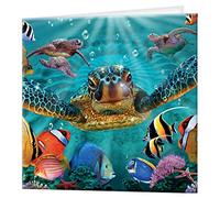 3D LiveLife Greeting Card - Tiny Bubbles from Deluxebase. Blank Card with Lenticular 3D Sea Turtle Image and Envelope. Unique Notecard for All Occasions and Premium Stationery Sets.
