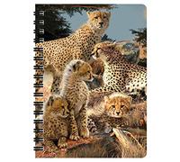 3D LiveLife Jotter - Cheetah Clan from Deluxebase. Spiral Bound A6 Notebook with 80 Plain Recycled Pages. Pocket Sized Animal Notepad, Journal or Drawing Book with Big Cat Cover