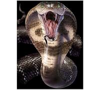 3D LiveLife Jotter - Cobra from Deluxebase. Spiral Bound A6 Notebook with 80 Plain Recycled Pages. Pocket Sized Animal Notepad, Journal or Drawing Book with Snake Cover