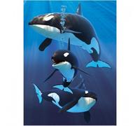 3D LiveLife Jotter - Orcas from Deluxebase. Spiral Bound A6 Notebook with 80 Plain Recycled Pages. Pocket Sized Animal Notepad, Journal or Drawing Book with Ocean Cover