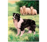 3D LiveLife Lenticular Pictures - Border Collie & Sheep from Deluxebase. A3 Unframed Deep 3D Effect Animal Wall Art for Living Room, Bedroom or Kitchen. Unique Dog Print Poster for Home Decor.