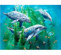 3D LiveLife Lenticular Pictures - Dolphin Kelp Bed from Deluxebase. A3 Unframed Deep 3D Effect Animal Wall Art for Living Room, Bedroom or Kitchen. Unique Dolphin Print Poster for Home Decor.