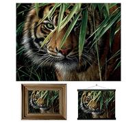 3D LiveLife Lenticular Pictures - Emerald Forest from Deluxebase. A3 Unframed Deep 3D Effect Animal Wall Art for Living Room, Bedroom or Kitchen. Unique Tiger Print Poster for Home Decor.
