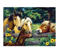 3D LiveLife Lenticular Pictures - Friendly Neighbours from Deluxebase. A3 Unframed Deep 3D Effect Animal Wall Art for Living Room, Bedroom or Kitchen. Unique Horse Print Poster for Home Decor.