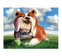 3D LiveLife Lenticular Pictures - Go Fetch from Deluxebase. A3 Unframed Deep 3D Effect Animal Wall Art for Living Room, Bedroom or Kitchen. Unique Dog Print Poster for Home Decor.