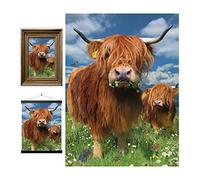 3D LiveLife Lenticular Pictures - Highland Cattle from Deluxebase. A3 Unframed Deep 3D Effect Animal Wall Art for Living Room, Bedroom or Kitchen. Unique Cow Print Poster for Home Decor.