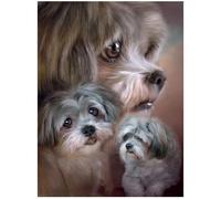 3D LiveLife Lenticular Pictures - Lhasa Apso from Deluxebase. A3 Unframed Deep 3D Effect Animal Wall Art for Living Room, Bedroom or Kitchen. Unique Dog Print Poster for Home Decor.