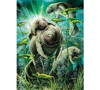 3D LiveLife Lenticular Pictures - Manatees from Deluxebase. A3 Unframed Deep 3D Effect Animal Wall Art for Living Room, Bedroom or Kitchen. Unique Manatee Print Poster for Home Decor.