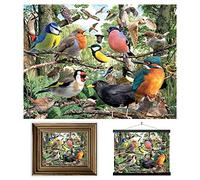 3D LiveLife Lenticular Pictures - Nature's Home from Deluxebase. A3 Unframed Deep 3D Effect Animal Wall Art for Living Room, Bedroom or Kitchen. Unique Bird Print Poster for Home Decor.