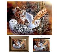 3D LiveLife Lenticular Pictures - Owl Woods from Deluxebase. A3 Unframed Deep 3D Effect Animal Wall Art for Living Room, Bedroom or Kitchen. Unique Bird Print Poster for Home Decor.
