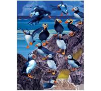 3D LiveLife Lenticular Pictures - Puffin Parade from Deluxebase. A3 Unframed Deep 3D Effect Animal Wall Art for Living Room, Bedroom or Kitchen. Unique Bird Print Poster for Home Decor.