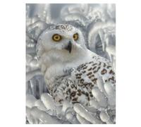 3D LiveLife Lenticular Pictures - Snowy Owl Sanctuary from Deluxebase. A3 Unframed Deep 3D Effect Animal Wall Art for Living Room, Bedroom or Kitchen. Unique Owl Print Poster for Home Decor.