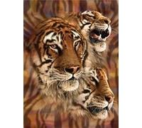 3D LiveLife Lenticular Pictures - Tiger Stripes from Deluxebase. A3 Unframed Deep 3D Effect Animal Wall Art for Living Room, Bedroom or Kitchen. Unique Tiger Print Poster for Home Decor.