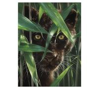 3D LiveLife Lenticular Pictures - Wild Eyes from Deluxebase. A3 Unframed Deep 3D Effect Animal Wall Art for Living Room, Bedroom or Kitchen. Unique Panther Print Poster for Home Decor.