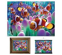 3D LiveLife Lenticular Wall Art Prints - Clown Fish from Deluxebase. Unframed 3D Ocean Poster. A perfect wall filler. Original artwork licensed from renowned artist, David Penfound