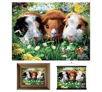 3D LiveLife Lenticular Wall Art Prints - Guinea Pigs from Deluxebase. Unframed 3D Pet Poster. A perfect wall filler. Original artwork licensed from renowned artist, David Penfound