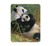 3D LiveLife Magnet - A New Dynasty from Deluxebase. Lenticular Animal Fridge Magnet. Decorative 3D Panda Flat Magnets. Cute Small Magnets for Fridge, Dishwasher and Whiteboard.