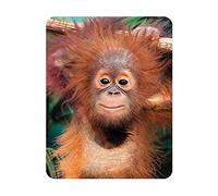 3D LiveLife Magnet - Baby Orangutan from Deluxebase. Lenticular 3D Monkey Fridge Magnet. Magnetic decor for kids and adults with artwork licensed from renowned artist, David Penfound