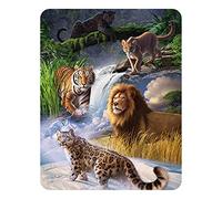 3D LiveLife Magnet - Big Cat Expedition from Deluxebase. Lenticular 3D Jungle Fridge Magnet. Magnetic decor for kids and adults with artwork licensed from renowned artist, Jerry LoFaro
