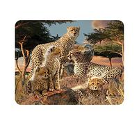 3D LiveLife Magnet - Cheetah Clan from Deluxebase. Lenticular Animal Fridge Magnet. Decorative 3D Cheetah Flat Magnets. Cute Small Magnets for Fridge, Dishwasher and Whiteboard.