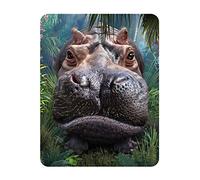 3D LiveLife Magnet - Close Encounter from Deluxebase. Lenticular Animal Fridge Magnet. Decorative 3D Hippo Flat Magnets. Cute Small Magnets for Fridge, Dishwasher and Whiteboard.
